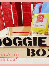 Curated Dog Gift Boxes