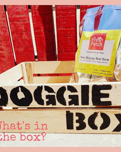 Curated Dog Gift Boxes