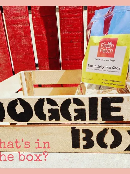 What's in the box? Our 'Bow Chicky Bow Chow' fresh meal pack. I believe if it's food for your dog, it has to be fresh.