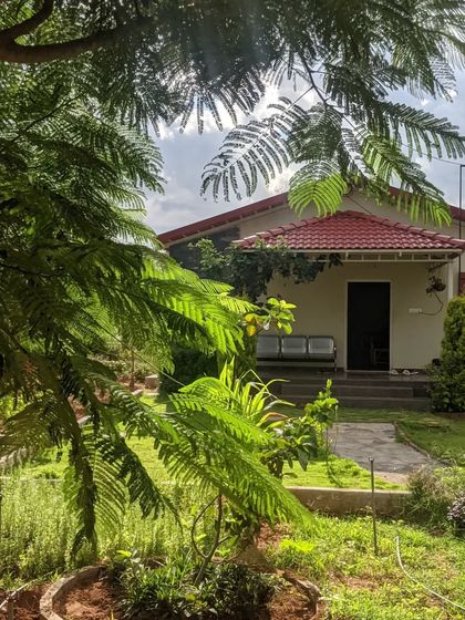 The entrance to this home is framed by the soft foliage of a Gulmohar tree. This view shows how I integrate landscaping with the home itself, creating a seamless transition from nature to architecture.