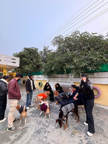Another photo from the therapy session. The dogs loved all the extra attention and pets from our visitors.