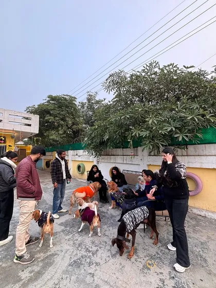 Another photo from the therapy session. The dogs loved all the extra attention and pets from our visitors.