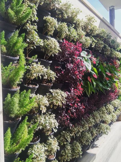 Morning Dews Landscapes - Interior Landscaping & Green Walls Living Vertical Gardens photo 4