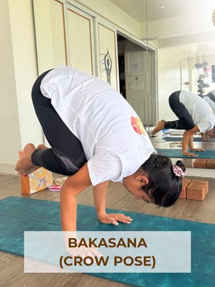 Aikia Yogashala - Yoga Classes Asana & Wellness Library photo 6