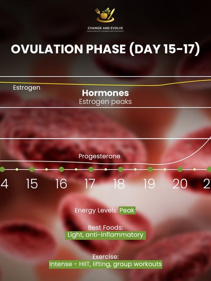 During the ovulatory phase (Day 15-17), estrogen peaks, and your energy is at its highest. This is the ideal time for more intense exercise like HIIT and lifting.