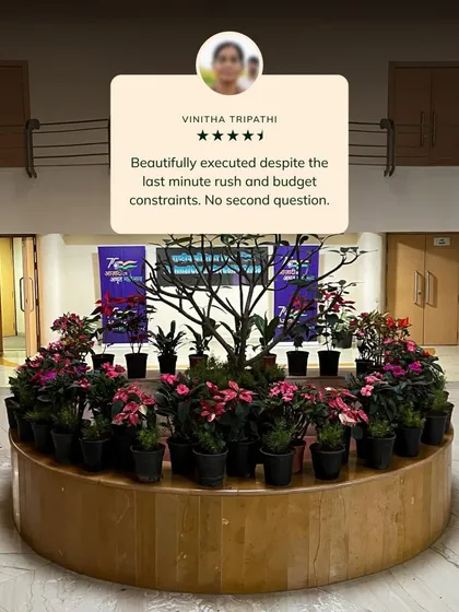 This testimonial highlights a commercial lobby installation I completed under a tight deadline and budget. The project involved creating a central botanical feature with a variety of flowering plants to make a powerful first impression on visitors, proving that beautiful landscaping can be both efficient and affordable.