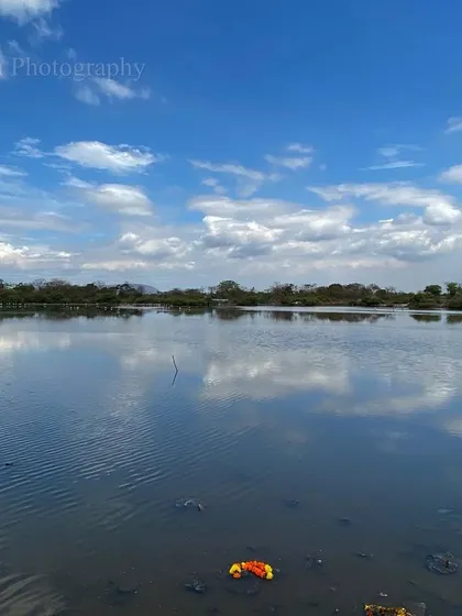 A plastic bag and other trash float in a once-pristine wetland, mocking nature's wizardry with colors. As a people, we don't seem overly concerned, but we are letting a wonder fade.