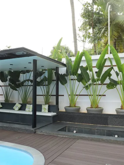 Poolside landscaping requires plants that can handle the environment and provide a resort-like feel. I used tall Bird of Paradise plants to create a green privacy screen around this modern pool and seating area.