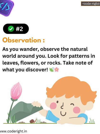 Step 2: Observation. As they wander, they look for patterns in leaves, flowers, rocks, and anything else they can find in the natural world.