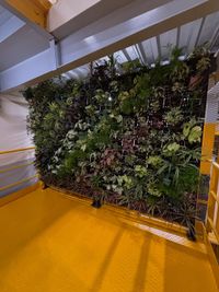 Garden Maintenance Services