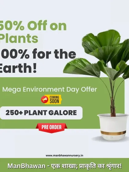 Get ready for our Mega Environment Day Offer with up to 50% off on over 250 plants. Pre-order now to celebrate our planet and get amazing deals.