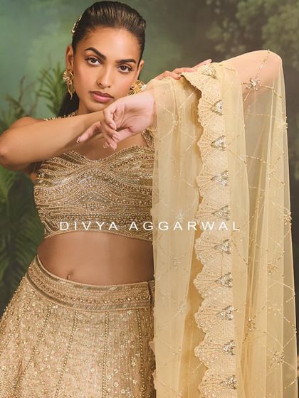 Contemporary Lehengas & Skirt Sets photo 14