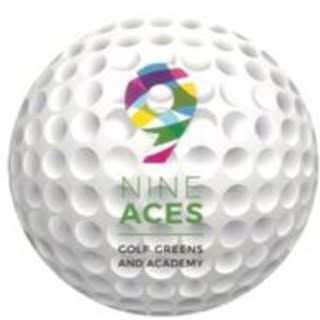 9 Aces Golf Greens & Academy