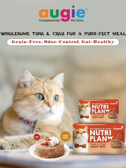 Augie Pets - Pet Supplies For Our Feline Friends: Premium Cat Nutrition photo 18