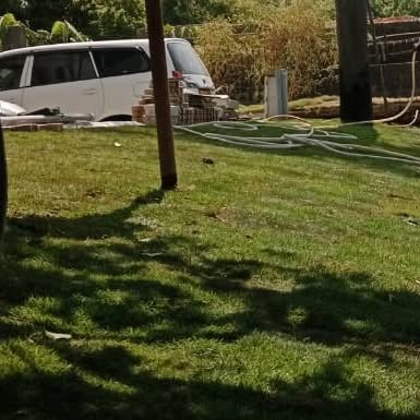 Lush Lawn Installations photo 14