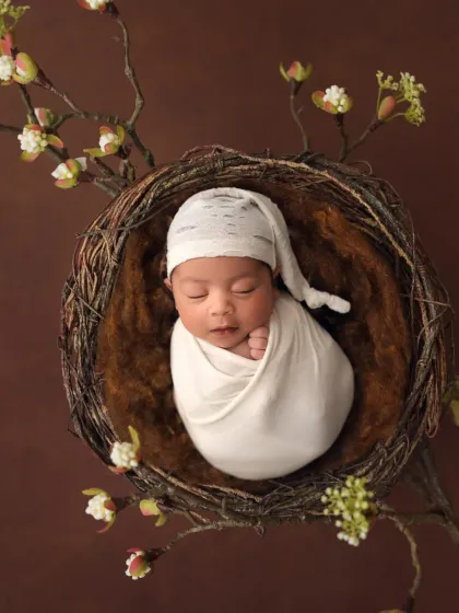 A different take on a celestial theme, this digital backdrop places the sleeping newborn in a cozy nest on a flowering branch.