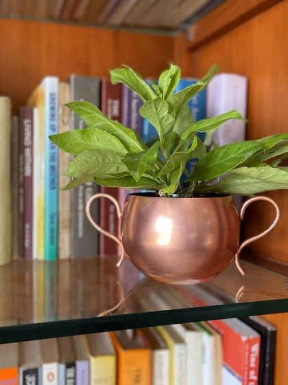 Thorny Affair - Pots & Planters Handcrafted Metal Planters photo 35