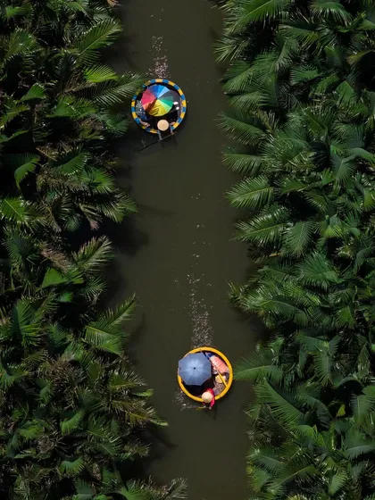A top-down view of traditional basket boats in the coconut groves of Hoi An. The colorful umbrellas and the lush green surroundings create a vibrant and joyful scene.