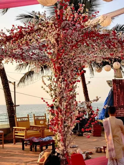 A closer look at the cherry blossom tree mandap. This unconventional design creates a beautiful, organic arch for the ceremony, perfectly blending with the natural outdoor environment.