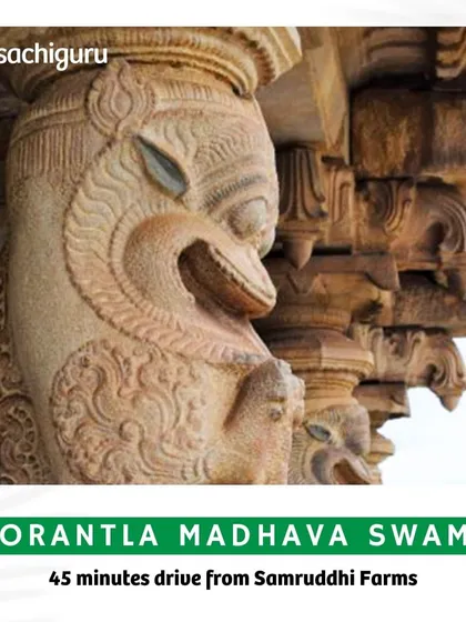 The ancient temples in the quaint town of Gorantla are a 45-minute journey from Samruddhi Farms, offering a glimpse into the region's rich spiritual history.