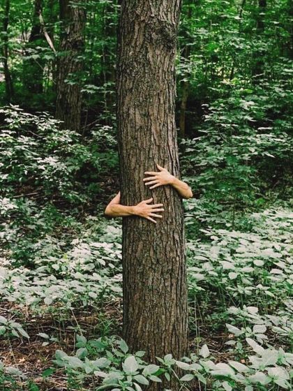 The Kumaon Sanctuary: Slow & Easy Vacations photo 26