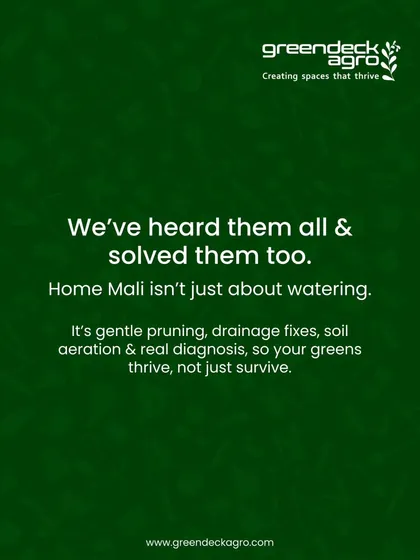 We have heard and solved all these common garden problems. Our service is about real diagnosis and expert care, so your plants thrive, not just survive.