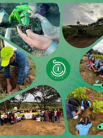 This collage captures the collaborative spirit of the R1 planting drive, with employees and students working side-by-side to restore the natural balance of Aravali Nagar Van.