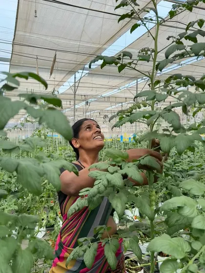 Celebrating Sharanamma, a joyful and strong member of our team. She is the breadwinner of her family, and her hard work and kindness, especially her evening teas, are deeply appreciated.