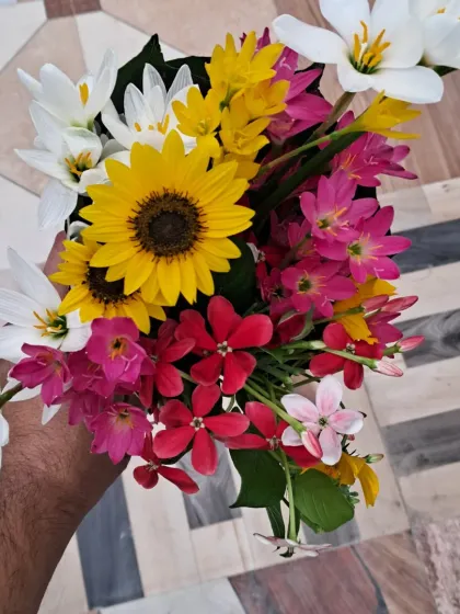 Bhardwaj - Urban Gardening Consultation A Riot of Colorful Flowers photo 35