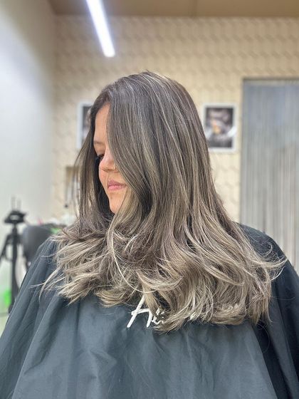 Ali Barbiere - Dimensional Color & Blonding Ash, Silver & Platinum Tones photo 34