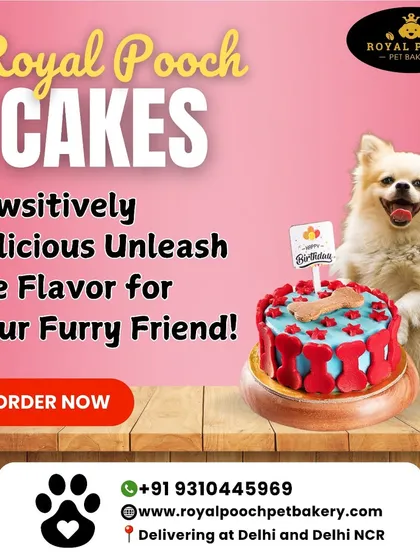 Pawsitively delicious cakes to unleash the flavor for your furry friend. I deliver across Delhi and Delhi NCR, bringing the celebration to your doorstep.