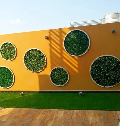 A finished view of a creative wall art installation on a residential terrace. I used circular frames of various sizes filled with different types of artificial foliage to turn a plain yellow wall into a playful and modern garden feature.