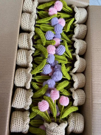A look inside a shipping box, showing how I thoughtfully arrange potted tulips to ensure they arrive in perfect condition.