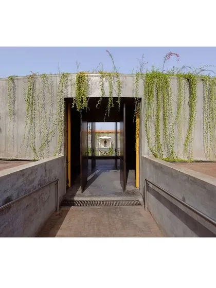 The entrance to the sunken gallery, where concrete walls are softened by cascading plants. This moment of transition from the open landscape to the enclosed gallery is a key part of the visitor's journey.