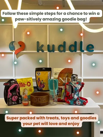 We love treating our community. This image showcases one of our awesome-pawsome goodie bags, packed with high-quality pet products like harnesses, treats, toys, and travel water bottles that we give away to lucky pet parents.