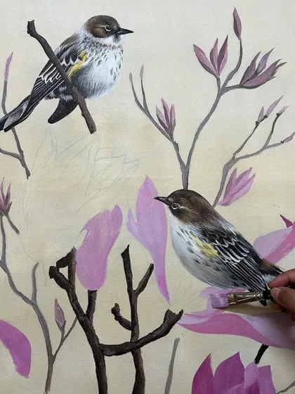 A work-in-progress shot of a painting featuring two Yellow-rumped Warblers among magnolia flowers. This shows the layering process, from the initial sketch to the final colored details.