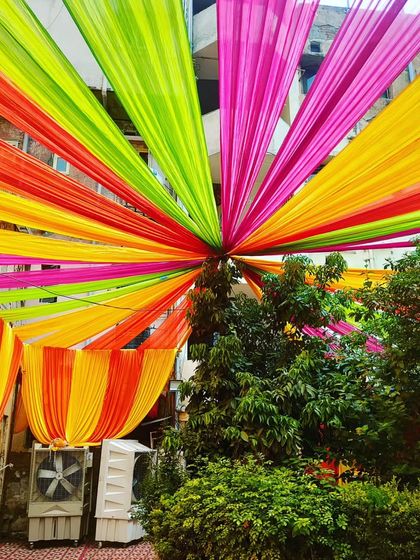 A vibrant canopy of drapes set up around lush green trees, integrating natural elements into the decor for a beautiful outdoor event.