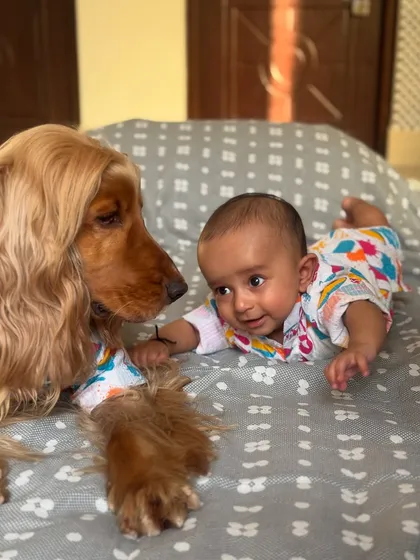 A sweet moment between the brothers on Holi. Posto giving his little brother a gentle nudge.