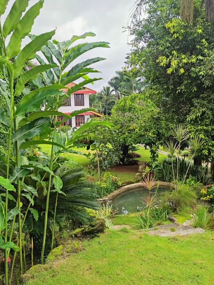 A Showcase of Our Plants photo 8