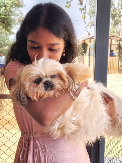 A tender moment as a visitor gives a gentle kiss to a fluffy Shih Tzu.