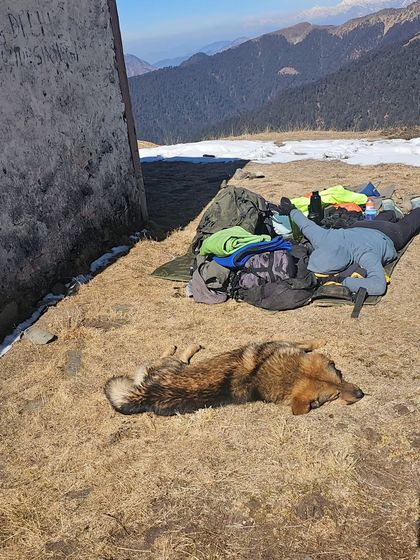 A well-deserved rest for both me and my trail buddy. Knowing when to push and when to recover is a critical skill in endurance adventures, and it's something I emphasize in my coaching.