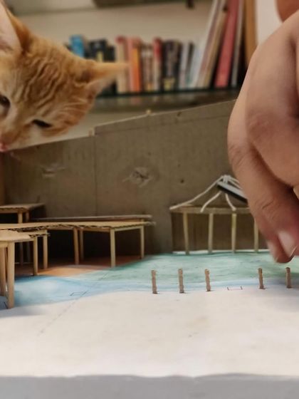 A photo of a cat curiously looking over the architectural model of our space, a fun behind-the-scenes moment from our design process.