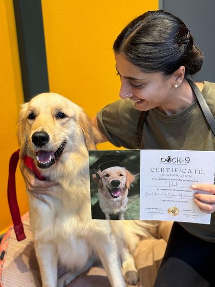 A close-up of Pixel with her graduation certificate. She's a true sunshine girl.