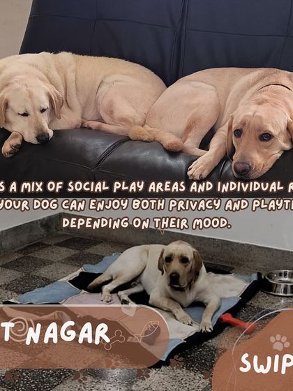 Anvis - Dog Boarding Our Boarding Centers in Bangalore photo 5