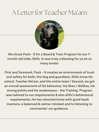 A glowing review from Shifu's family, who found our Board & Train program to be a blessing.