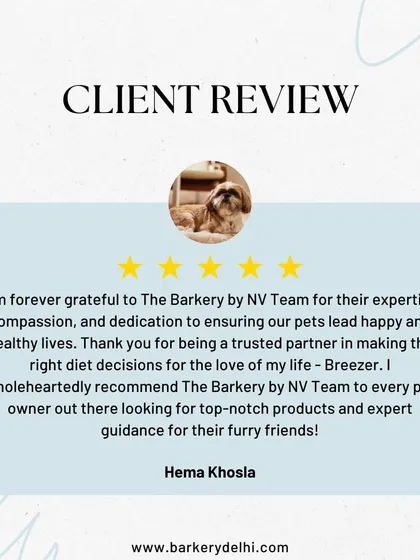 I am so grateful for feedback like this from our wonderful community. Knowing that my meal plans and guidance are helping dogs like Breezer live happier, healthier lives is why I started The Barkery. Your trust means the world to me.