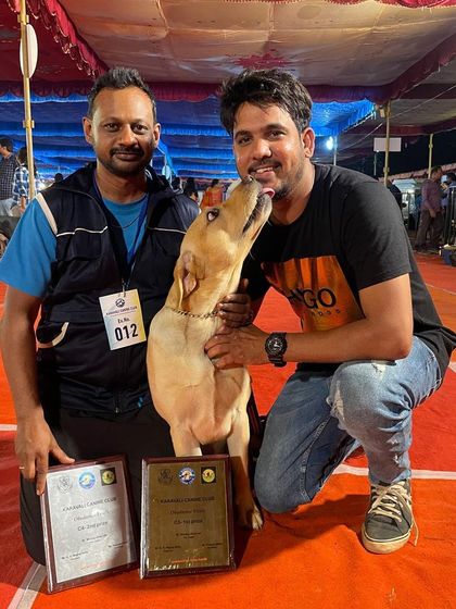 K9 Gurukul - Dog Training for Shows & Media Champions of the Show Ring photo 53