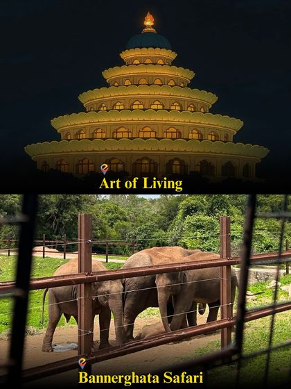 Looking for a unique day out? My trips include visits to the serene Art of Living center and the exciting Bannerghatta Safari.