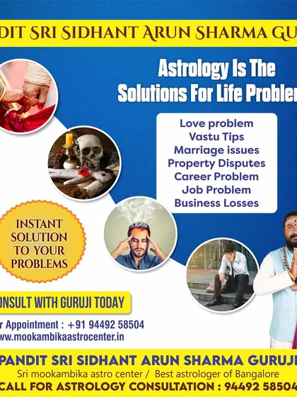 Astrology is the solution for life's problems. This graphic shows the variety of issues I can help with, including property disputes, job problems, and Vastu tips.