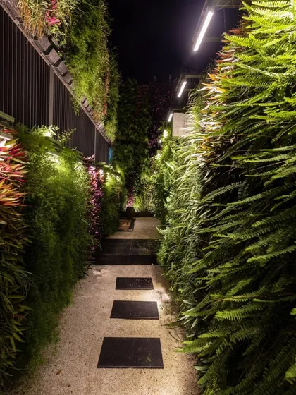 We can transform narrow, underutilized passages into immersive green corridors. This installation features dense vertical gardens on both sides, using ferns and trailing plants to create a lush, enveloping experience enhanced by overhead and ground-level lighting.